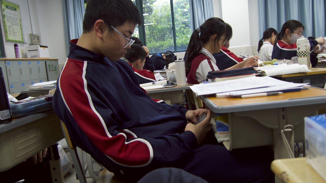掌心里的另一个世界
